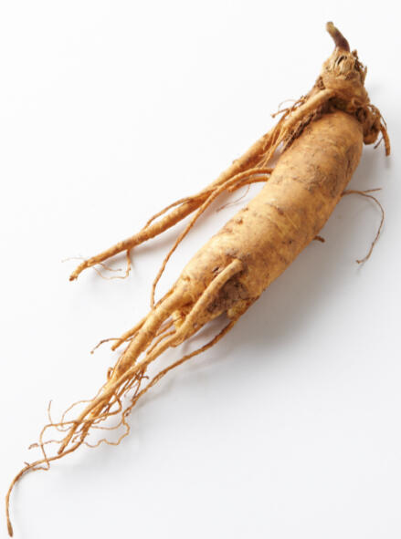 GINSENG (Panax Ginseng), boosts libido, improves erectile function and enhances overall energy.